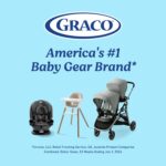 Graco Soothe My Way with Removable Rocker, Madden - Versatile Baby Swing & Portable Rocker - Image 8